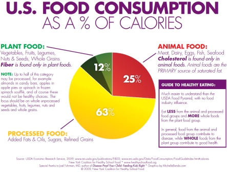 纽约联盟健康学校食物图表美国食品消耗用卡路里