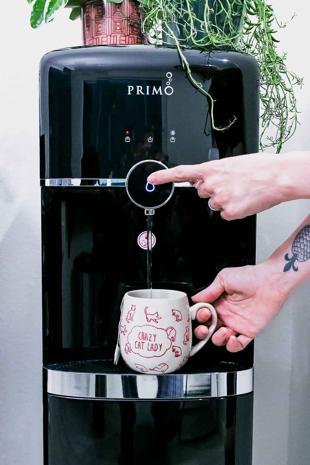 用两只手将水从Primo饮水机中倒入咖啡杯